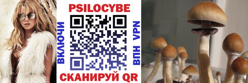 ОМГ ОМГ Бабушкин Псилоцибиновые грибы Psilocybe